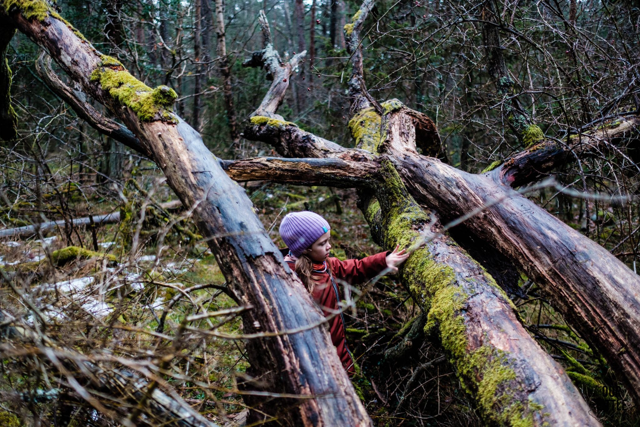 Dziecko w czapce z wełny merino wspina się na drzewo