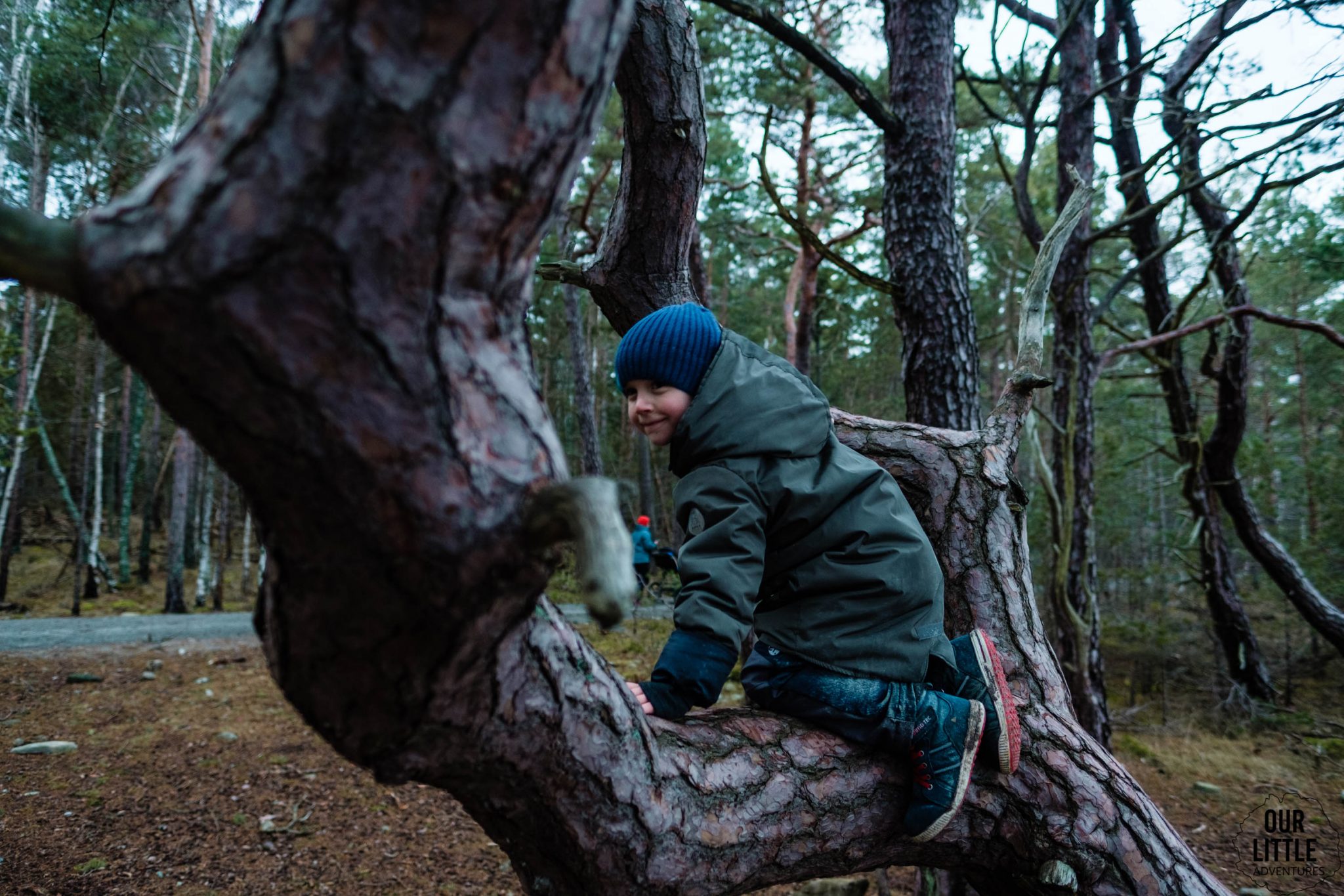 Dziecko w czapce z wełny merino wspina się na drzewo