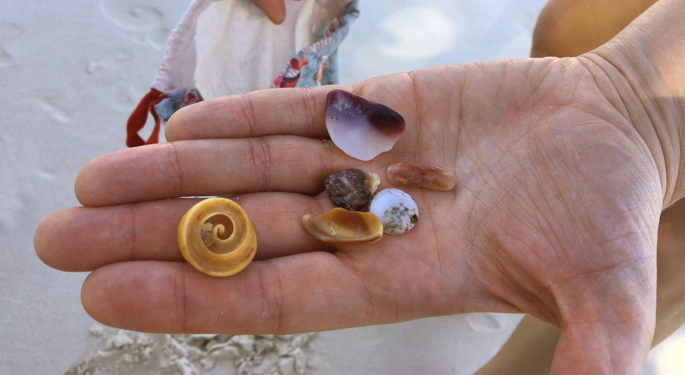 wełna merino w podróży