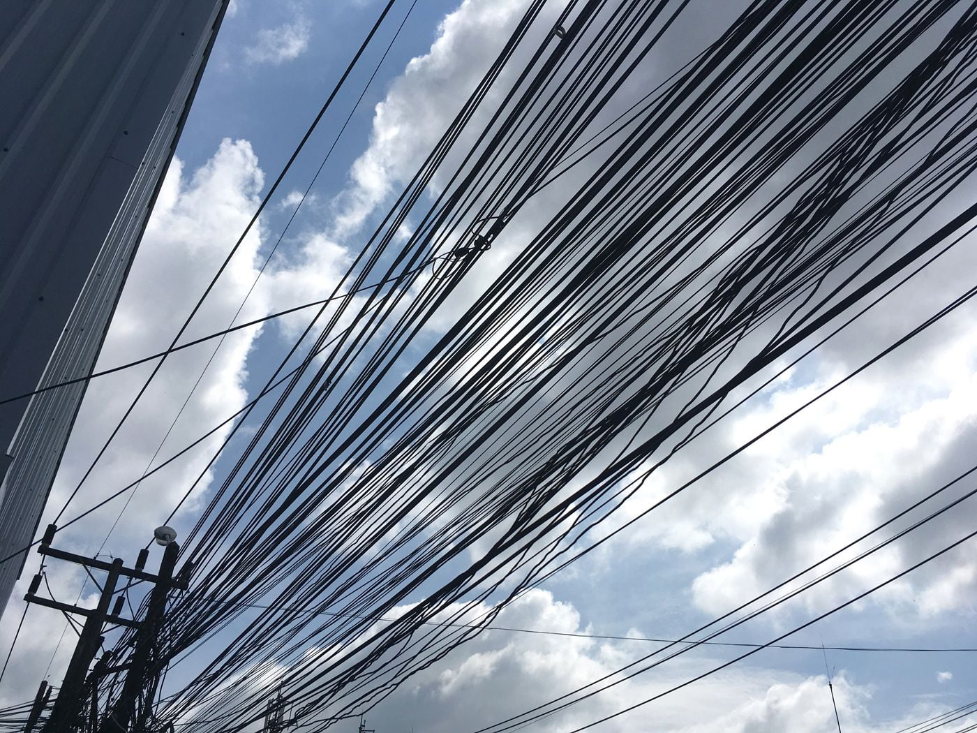 wełna merino w podróży