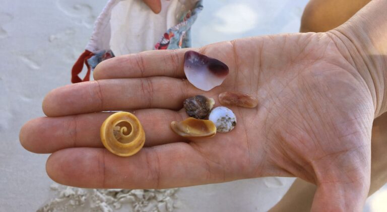 wełna merino w podróży