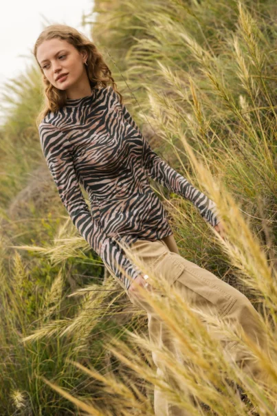 Zebra